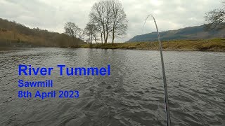 River Tummel Sawmill 8th April 2023 [upl. by Allez151]