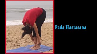 Yoga  Pada Hastasana With English Commentary [upl. by Anyala]