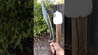 Falcata Sword Sharpness Test [upl. by Conroy590]