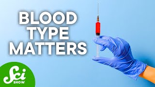 The Pros amp Cons of Your Blood Type [upl. by Bailey]