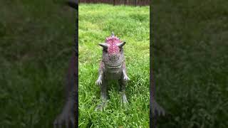 Disney Dinosaur Movie Carnotaurus Roar Light Up Eyes Figure [upl. by Loomis925]