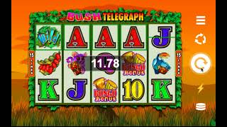 🌍 Bush Telegraph Slot by Microgaming – Adventure Awaits 🎰🌿 CasinoSlotsMoney [upl. by Alrad]