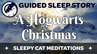 Christmas Eve at Hogwarts  A Guided Sleep Story Inspired by the World of Harry Potter [upl. by Nnaj]