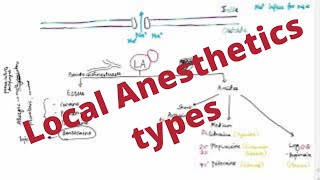 Local Anesthetics Mind map [upl. by Ferguson]