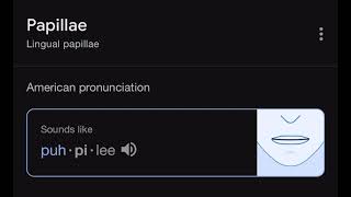 How to pronounce Papillae [upl. by Dib]