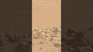 Perseverance Rover Sol 1287  Mars New 4k Video  Mars 4k Video  Mars In 4k  Mars shorts [upl. by Aihsram]