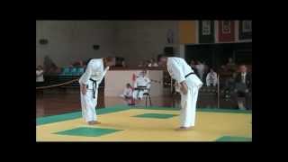 2012 Gold Coast ChitoRyu Karate Tournament  Bunkai [upl. by Euqinwahs410]