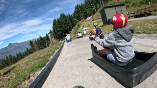 Queenstown  Luge [upl. by Ellimac]