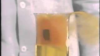 Nitric Acid CHEM Study [upl. by Ahseenal]