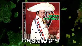 Dejame llorar  Vicente Fernandez [upl. by Leuqram]