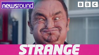 Funny faces and a real life Spiderman  Strange News  Newsround [upl. by Breskin]