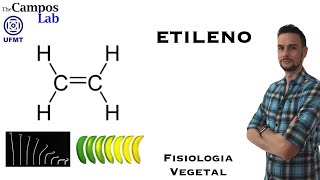 Etileno 33 Biossíntese e Sinalização [upl. by Adabel]