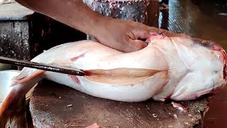 Amazing New Style Cutting  Big Pangas Fish Cutting in Bangladesh Fish Market [upl. by Sargent894]