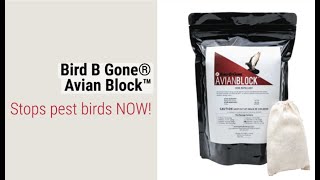 Avian Block Bird Repellent EFFECTIVELY STOPS All Bird Species [upl. by Isador]