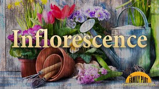 Inflorescence – Garden Glossary [upl. by Garner]