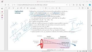 hydrostatic and oncotic pressures [upl. by Tallie621]