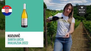 Discover Kozlović The Exquisite Croatian🇭🇷 Wine Crafted from Malvazija Istriana 🍇 [upl. by Darla]