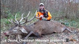 Chasse Aux Gros Gibiers Cerfs sangliers chevreuils renards [upl. by Namlaz442]