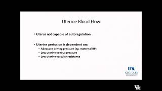 Obstetric Anesthesia Keyword Review Part 1 of 3  Dr Fragneto [upl. by Maible]