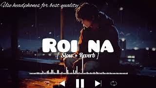 Roi Na Lofi song  SlowedReverb   ninja ‎LOFIMusic0304 [upl. by Hgielra]