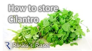 How to Store Cilantro  Dhaniya  Corriander for long time  RinkusRasoi [upl. by Eelano413]