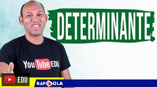 DETERMINANTE DE UMA MATRIZ 2 x 2 [upl. by Iztim]