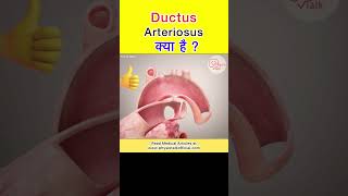 Ductus arteriosus क्या है shorts ductusarteriosus heart [upl. by Notsej795]