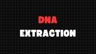 DNA EXTRACTION Biochemistry Lab [upl. by Nessa]