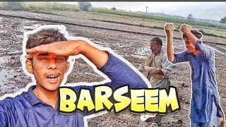 Barseem kaa beag khalaracomplete vlog upload youtube [upl. by Berget]