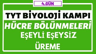 Hücre Bölünmeleri  Eşeyli Üreme  Eşeysiz Üreme  TYT BİYOLOJİ KAMPI  4gün [upl. by Maharva]