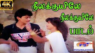 Neela Kuyile Neela Kuyile நீலக்குயிலே நீலக்குயிலே  S P B K S Chithra Love Duet H D Song [upl. by Modeerf]