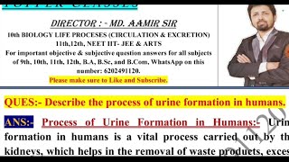 Describe the process of urine formation in humans [upl. by Lash119]