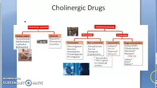 Pharmacology 101 e OrganoPhosphate Poisoning Treatment Carbamate Malathion Diazinon Pralidoxime [upl. by Hinda]