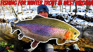 West Virginia Winter Trout Fishing [upl. by Llertnad760]