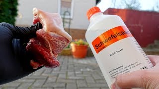 EXPERIMENT  Kann man mit Schwefelsäure Fleisch auflösen [upl. by Drofniw]