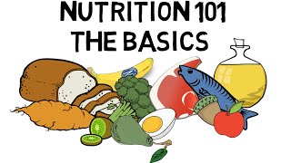 Basic Nutrition and Macro  Nutrients Video Animation by Train With Kane [upl. by Nolyarg]