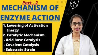 Mechanism of Enzyme Action  Enzymology  Biochemistry [upl. by Aicelef]