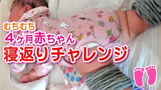 4ヶ月赤ちゃんの寝返りチャレンジ 0歳児 baby [upl. by Mlehliw223]