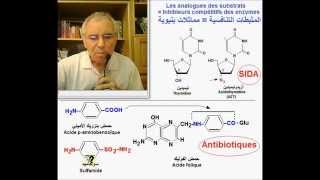 Enzymes Inhibiteurs compétitifs version Ar أنزيمات مثبطات تنافسية [upl. by Iahs]