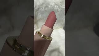 Westman Atelier Lip Suede Matte Lipstick in Pique westmanatelier lipstick lipswatches shorts [upl. by Katharyn]