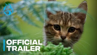 A Cats Life  Official Greenband Trailer [upl. by Igal]