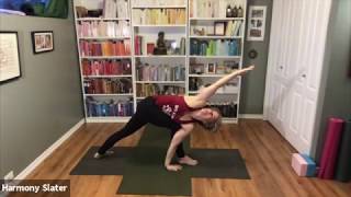 Half Primary Series  Guided Ashtanga Yoga Beginners [upl. by Nilok]