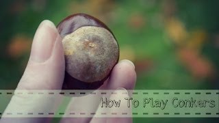 How To Play Conkers [upl. by Aeret961]