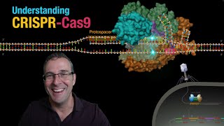 Understanding CRISPRCas9 [upl. by Suzann706]