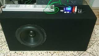 8 inch Subwoofer excursion test  BIA Acoustics  DIY Subwoofer  Fredo Amplifier [upl. by Adiell]