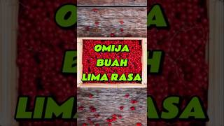 quotMengenal Buah Omija Si Lima Rasa dari Koreaquot feedshorts [upl. by Arem]