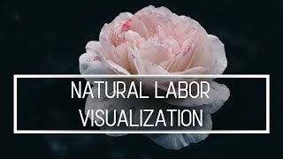 Natural Labor amp Delivery  Cervix opening visualization [upl. by Nichy]