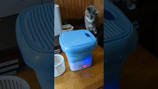 mini washing machine Boots is perplexed cat chores [upl. by Giselbert]