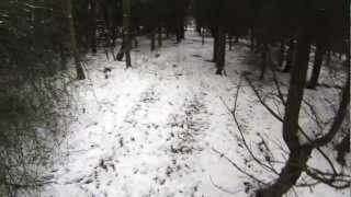 Pheasant Shooting on Beaters Day filmed with a Go Pro Hero 3 [upl. by Wiedmann]