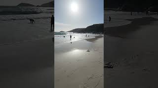 Spueaky Beach Wilsons Promontory goplaces1 [upl. by Madi]